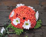 從傳統到創新 客家香花郁郁芬芳日夜香