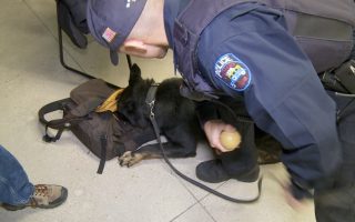 警犬展一手 找出藏匿毒品凶器
