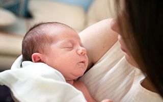 媽媽第一次抱住自己早產寶寶的樣子 感動了數百萬網友
