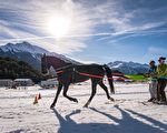 體驗用馬拖曳滑雪 獨特風情盡在莫里耶訥