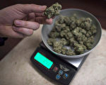亞省推出大麻安全監管框架 首年擬批建250販賣店