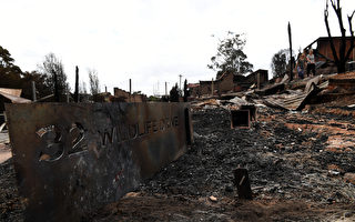新州山火几十所民房化灰烬 政府启动紧急调查