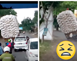 高手在民間 看印尼超載的貨車如何轉彎