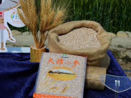 大雅农会成功研发的“小麦米”是经过加工的小麦谷粒，与白米一起煮食，口感新鲜风味独特，去年刚推出就销售一空。