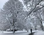 雪後紐約變潔白世界 華人驚歎
