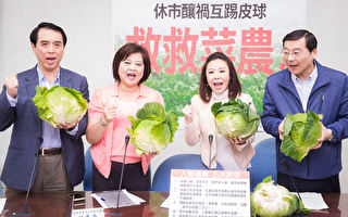 台北農連休菜價崩盤 藍委：中央地方互推責任