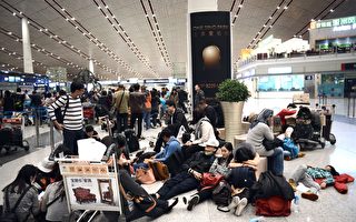 成都机场遭雷暴袭击 航班延误8000人滞留
