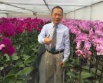 活用部隊管理方式  彰化榮民成功創業回饋袍澤