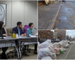纽约市议会灭鼠 新添八提案