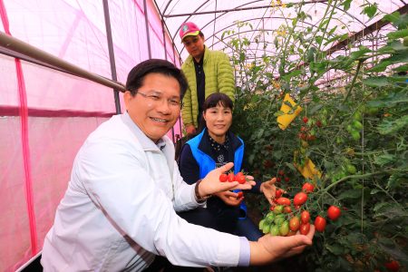 曹凱寧(中)在市府農業局輔導後，所栽種的溫室小番茄品質佳，市長林佳龍直呼「好吃」。