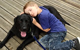 男孩躺在狗狗身上 看似平凡的場景卻讓一旁母親激動落淚