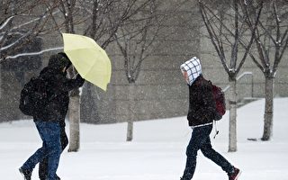 18小时冰粒雨雪天气 多伦多经历了什么？