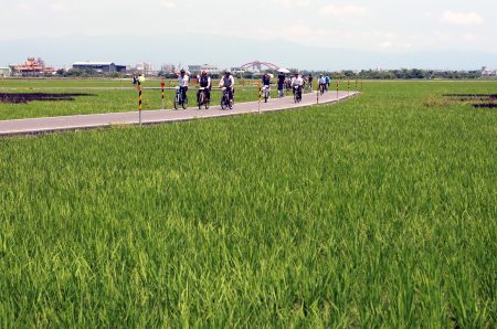自行車輕旅行活動的三奇稻間的美麗稻浪。