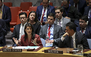 UN就叙利亚开紧急会议 川普在评估空袭