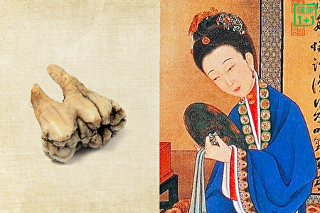 古人蛀牙了怎麼辦？