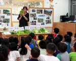 三星幼儿园推有机午餐 吃得健康家长更放心