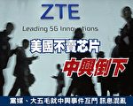 中兴事件背后：中共是经济发展最大障碍