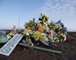 12名青年冰球隊車禍倖存者仍在住院