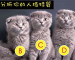 哪隻貓咪是公的？測測你的人格特質