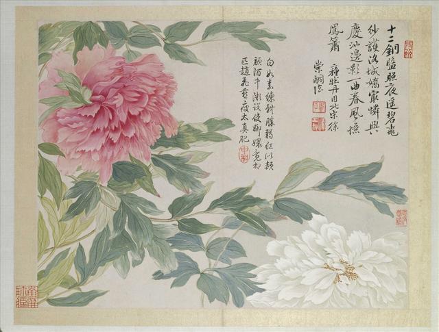 清恽寿平《牡丹》。（公有领域）
