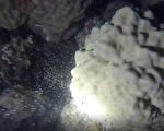 美麗海中流星雨 東沙珊瑚產卵奇觀