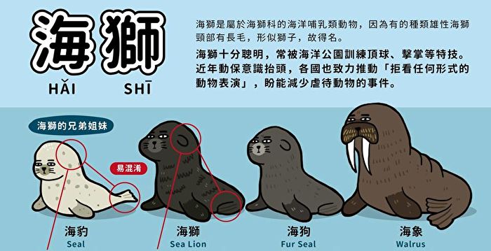 100+ 图片 海獅 新的 5 海獅海狗傻傻分不清?這張圖10秒分辨讓人嘖嘖稱奇| 海豹| 儒艮| 10秒鐘教室| 大紀元