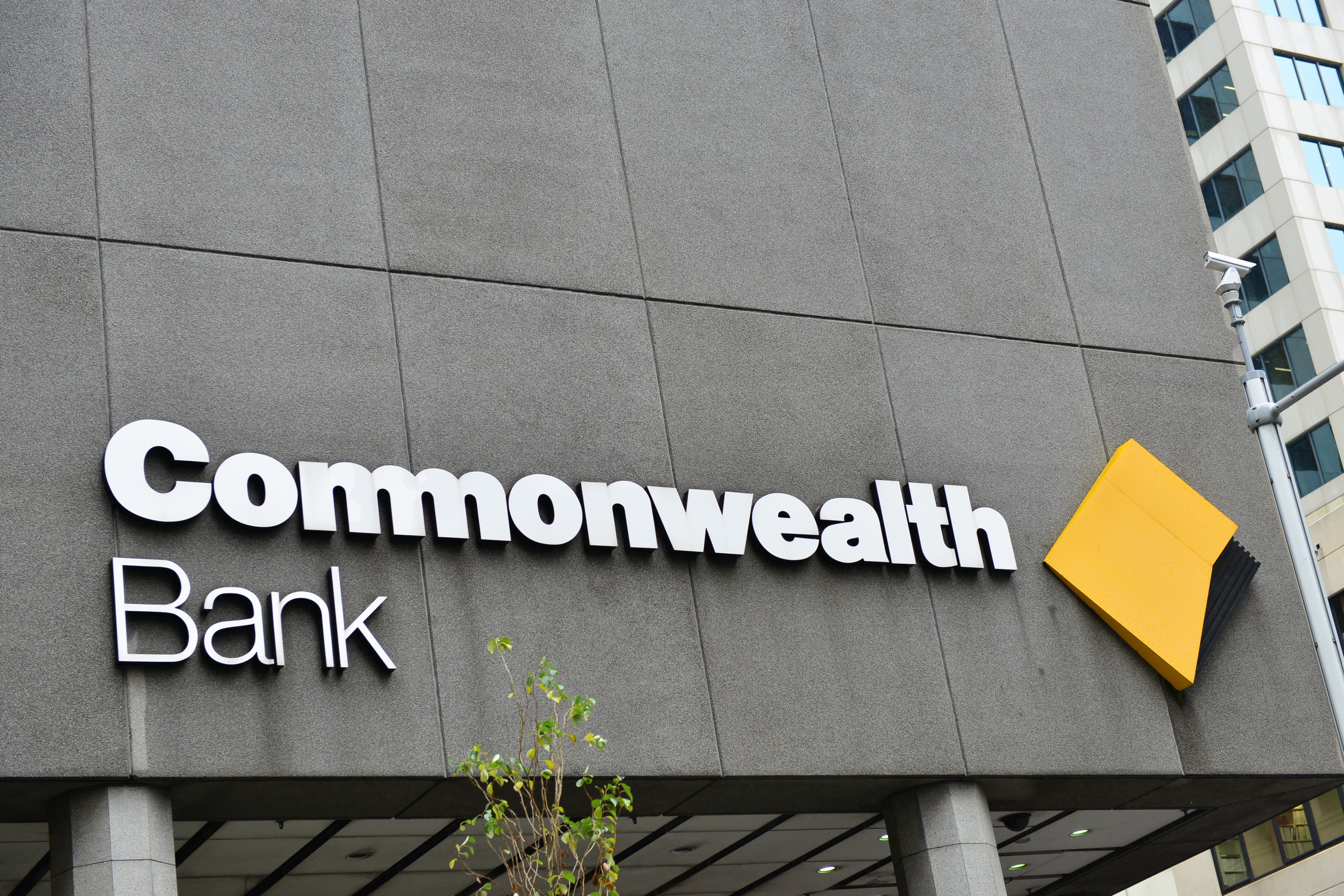 严批联邦银行管理疏忽财长期待更多高管辞职| 澳洲联邦银行| 反恐金融法| 金融机构| 大纪元