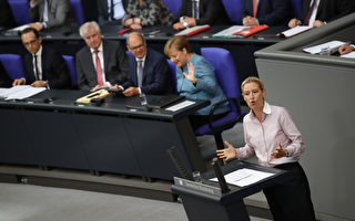德国选项党向宪法法院状告默克尔