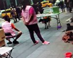 以「救援流浪狗」募捐騙愛心 警方逮補女子法辦