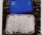 警方破獲皇后區槍毒犯 一舉逮捕15人