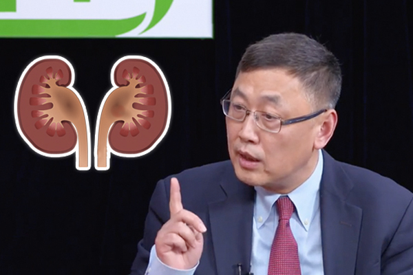 华人最常见的几种肾脏病，以及引发疾病的9大重要原因。（健康1+1／大纪元）