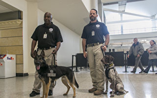 安檢任務重  加州奧克蘭國際機場請狗幫忙
