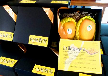 台灣第一個有專屬身分證的芒果品種－夏雪芒果。