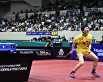 张本智和连胜中国大将 成日乒赛最年轻冠军
