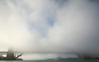 大雾笼罩悉尼 航班取消 渡轮中断 大桥“失踪”