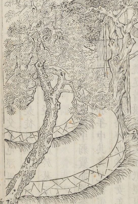 蕭公為人忠厚,樂善好施,贈送風水寶地給何生。圖為清 梁延年《聖諭像解》插圖。(公有領域)