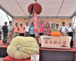 淡水南瓜比赛破全国纪录 名师出高徒