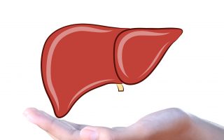 肝脏疾病的饮食调理   蛋白质的衡量