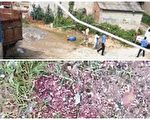 桂林官方称城管拆违建被捅殉职 民众质疑
