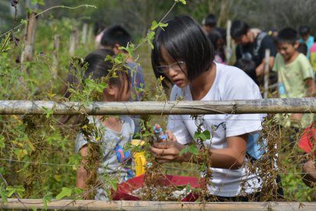亲爱国小学童参与台湾大豆采收。