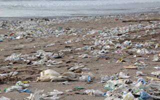 世界环境日 澳人被促放弃塑料制品