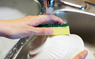 家裡細菌最多是洗碗海綿？教你4招防菌