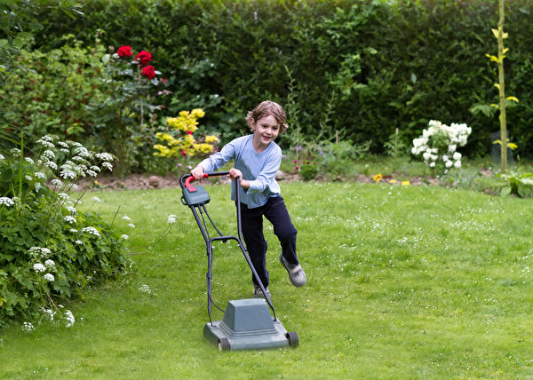 小男孩在花园里用草坪割草机。