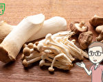 蘑菇含1物質 是其它食物10倍 可能防失智症