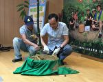 新北绿竹笋产量上看17亿元 农业局推限量一日游