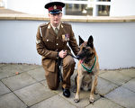 英特種部隊遭IS伏擊 軍犬以1敵9救眾人