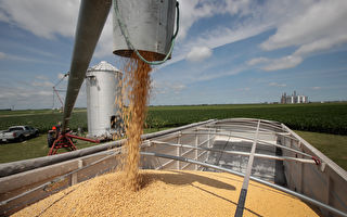 中美贸易战 中共暗给美国大豆进口商补贴