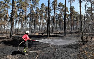 天乾物燥 德國發布森林火災預警