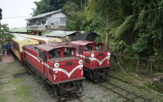 阿里山郵輪列車8月開航 帶動林鐵生態旅遊