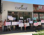 紐約藥用大麻店進駐社區 華人抗議